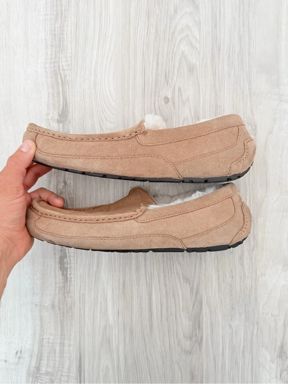 UGG Men's Ascot slippers in the Chestnut color